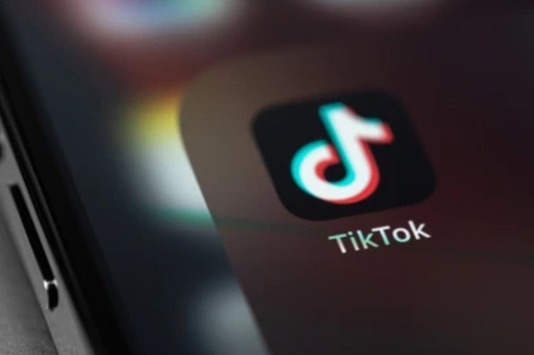 TikTok Cholleros Viajeros